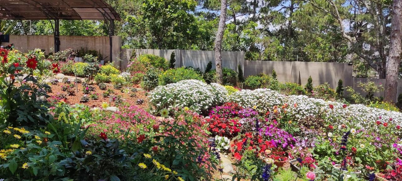 Bach Tra Villa Dalat Bagian luar foto
